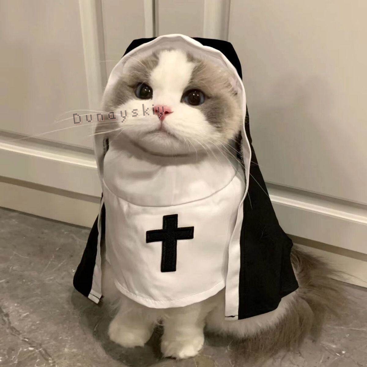 Anime Cosplay Nun - 크리스마스 애완견 고양이 코스프레 의상 통기성